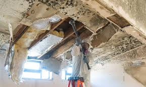 Best Mold Remediation for Healthcare Facilities  in Arcadia, LA